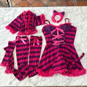 Vibrant Pink and Purple Striped Women's Costume Set